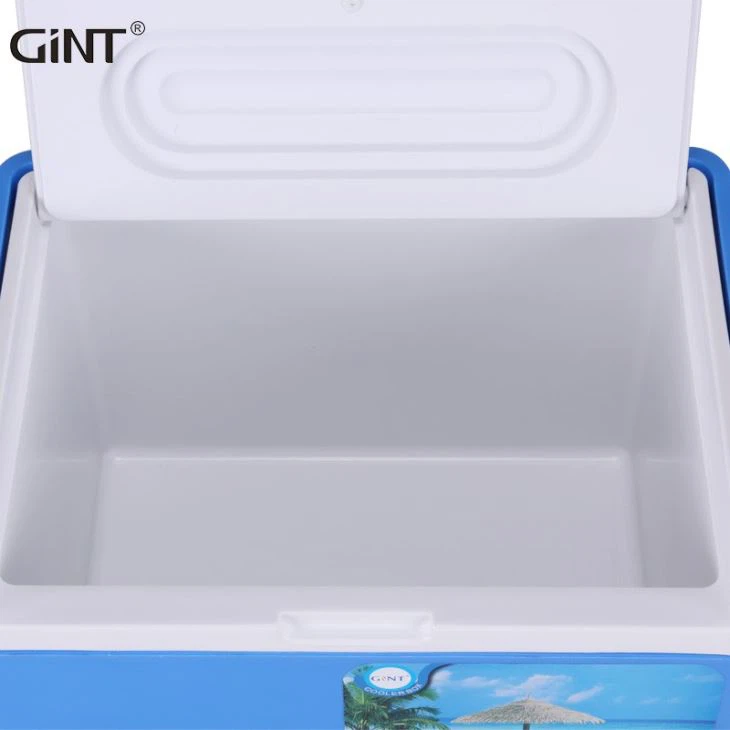 Insulated Easy Carry Plastic Cooler Box For Fishing