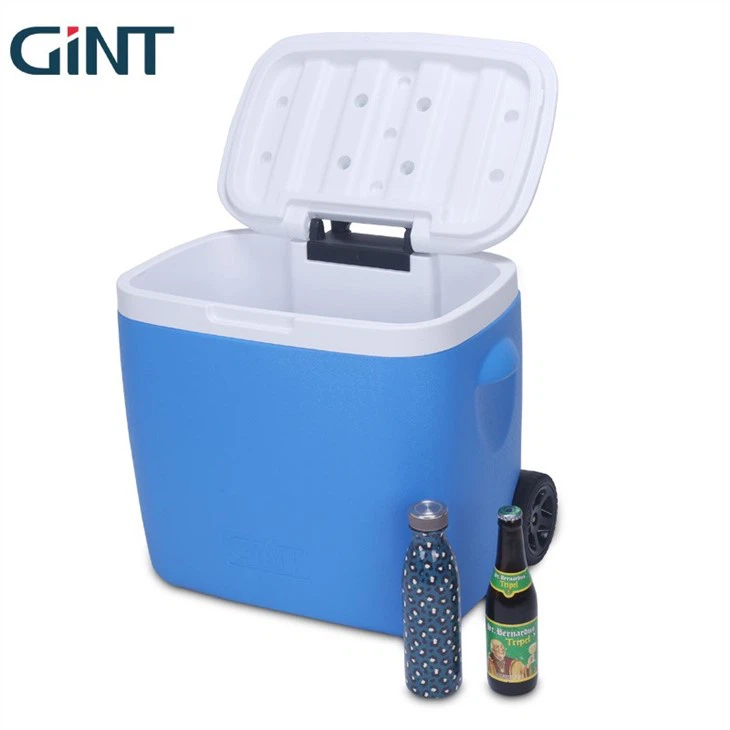 Insulated Cooler Box