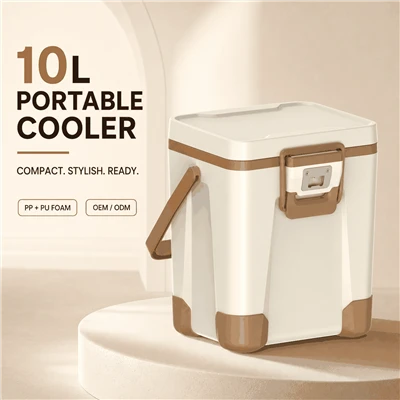 10L chladicí box